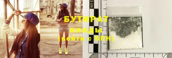 прущие грибы Волосово