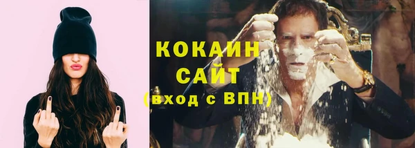 прущие грибы Волосово