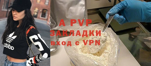 прущие грибы Волосово