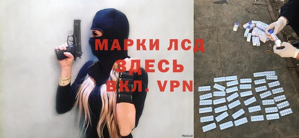 прущие грибы Волосово