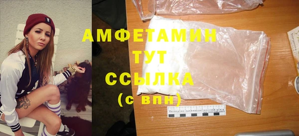 прущие грибы Волосово